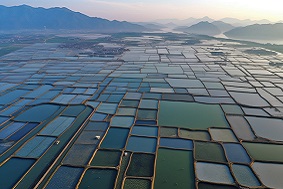 水產(chǎn)養(yǎng)殖管理系統(tǒng)特點介紹